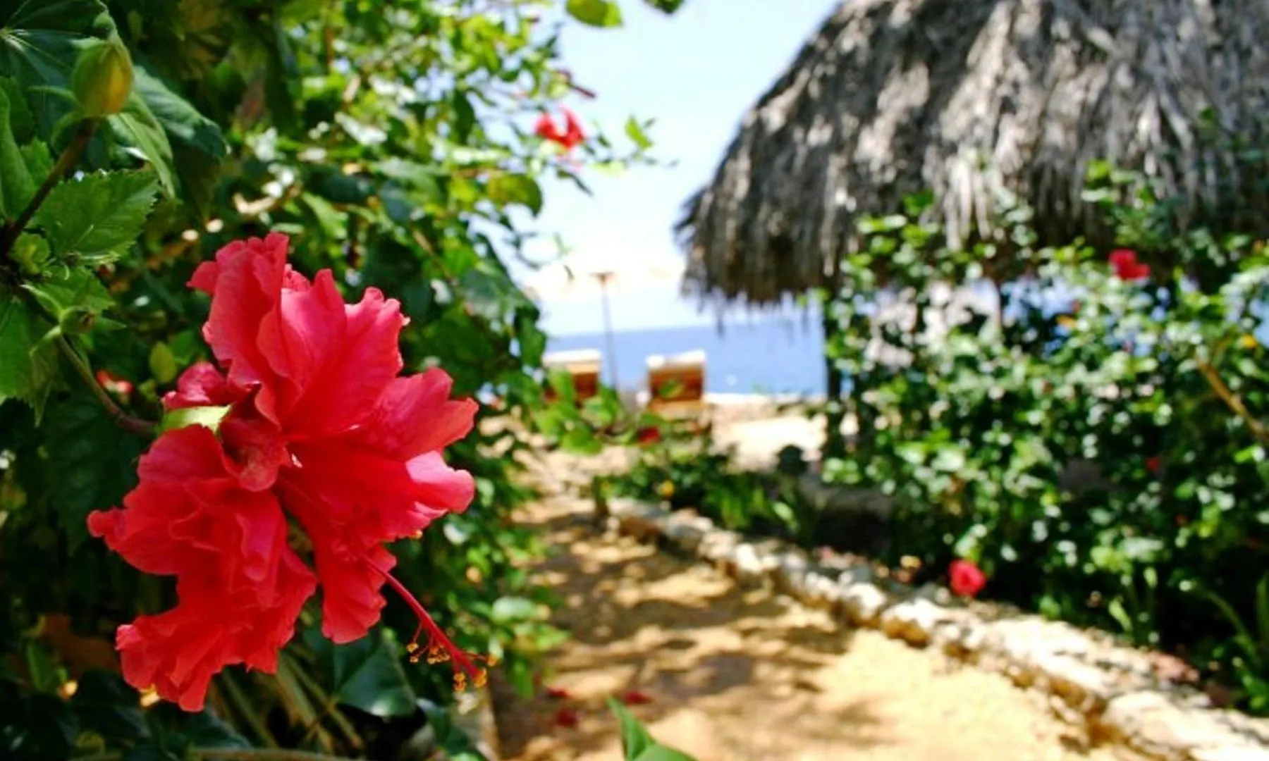 Tensing Pen Negril Jamaica
